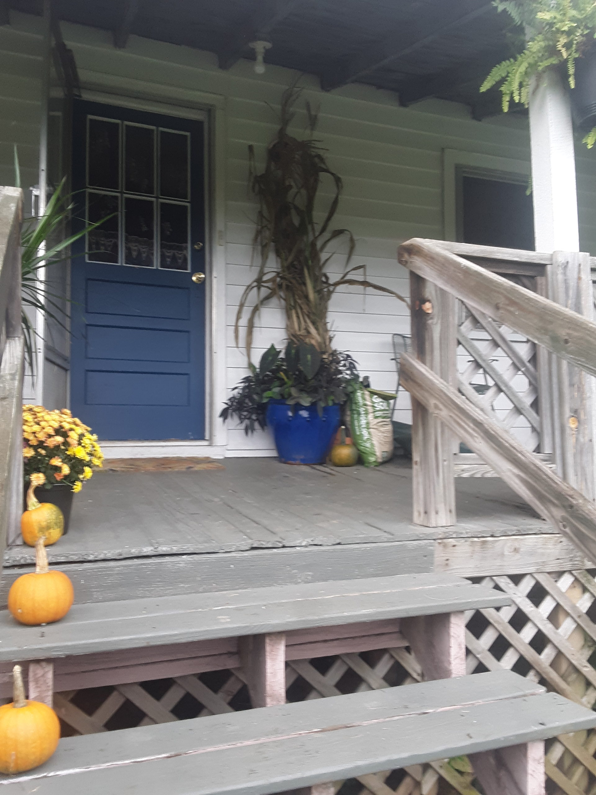 Five great fall gardening tips to make things fun and easy